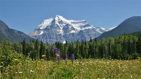 Mt Robson Mount Robson 3954m Is The Highest Point The Ca Flickr