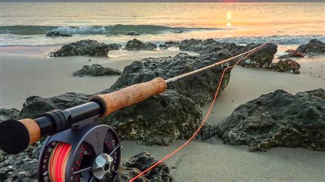 Spin & Fly Fishing in Kuwait - YouTube