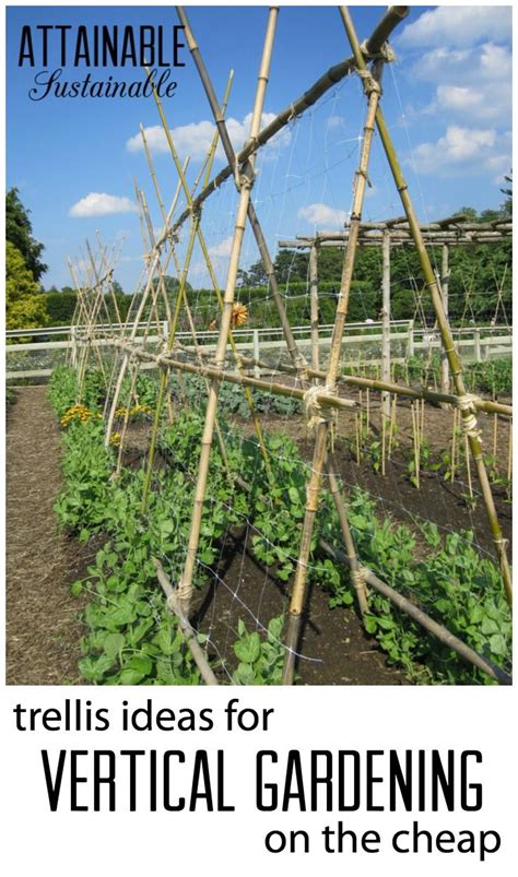 Check spelling or type a new query. DIY Trellis Ideas for Growing a Vertical Garden on a ...