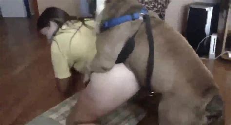 Women Fucks And Sucks Her Bulldogs Big Dick Zoo Tube 1