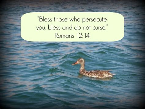 Romans1214 Bless Those Who Persecute You Bless And Do Not Curse