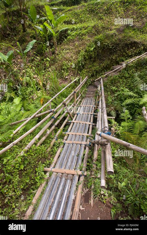 Typical Bridge Made Of Bamboo In The Rice Terraces Of Tegalalang Ubud