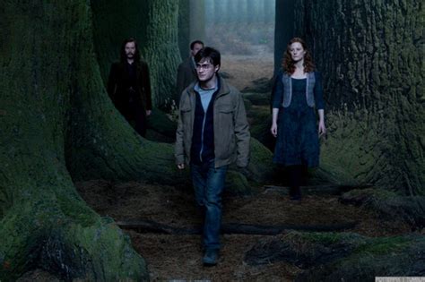 Deathly Hallows Movie Stills Harry Potter Photo 26601227 Fanpop
