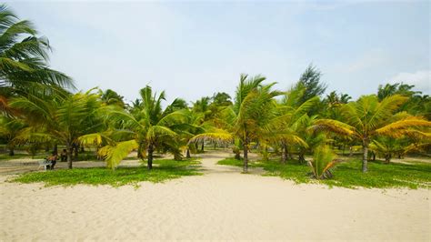 Marari Or Cherai Which Is The Best Beach Near Kochi Iris Holidays