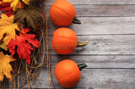 Rustic Wooden Pumpkin Leaves Stock Image Image Of Bright Giving