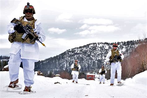 Us Army Warms Up With Norwegian Cold Weather Training Exercise