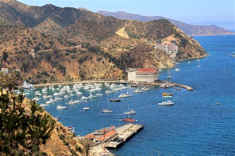 How To Spend One Day On Californias Catalina Island Simply Wander