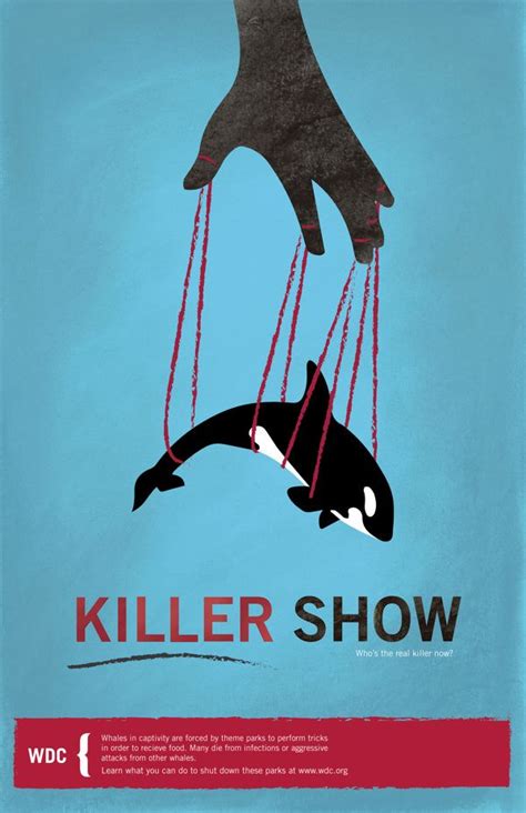 The Graphic Imperative Killer Whale Captivity By Maia Bridges Via