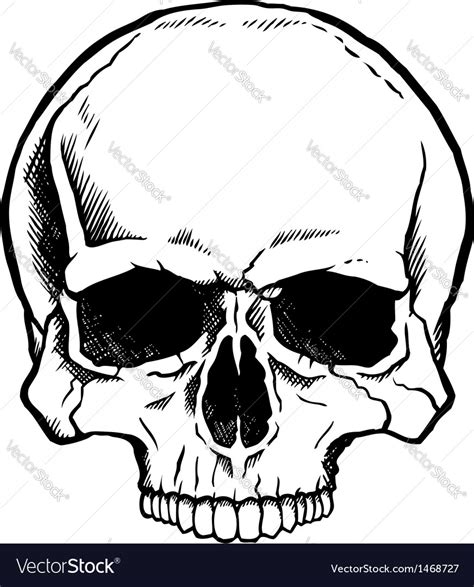 Black And White Human Skull Royalty Free Vector Image