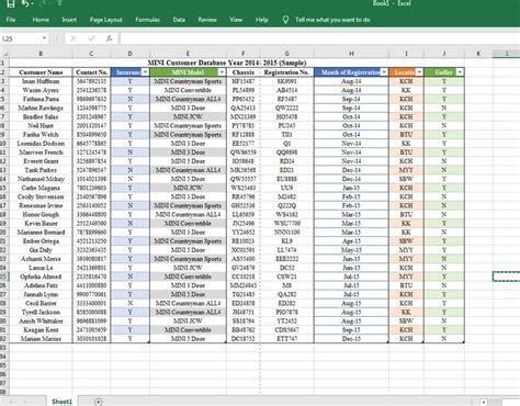 Data Entry Sample In Microsoft Excel Freelancer