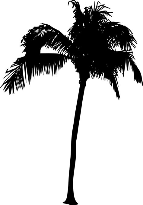 20 Palm Tree Silhouette (PNG Transparent) Vol. 2 | OnlyGFX.com