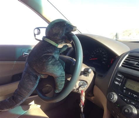 We created a list of toys that are sure to keep any boy entertained and even teach him a thing or two as well! The Struggles of T-Rex • Road trip to very large array ...