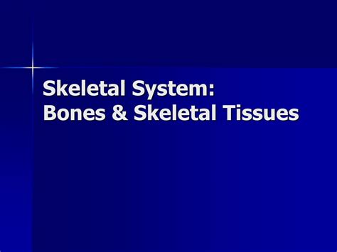 Ppt Skeletal System Bones And Skeletal Tissues Powerpoint Presentation