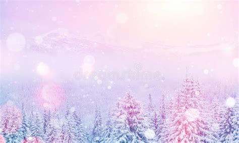 Magical Winter Landscape Background With Some Soft Highlights A Stock