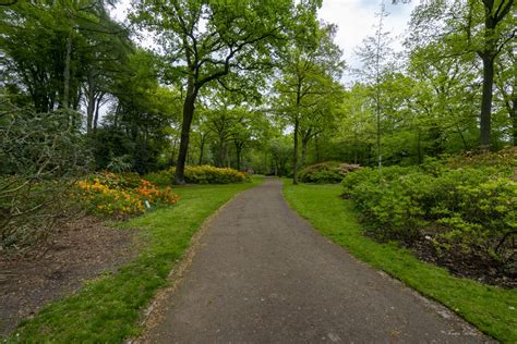 Parks und grünflächen in bremen. Botanischer Garten Bremen - Torsten Döring