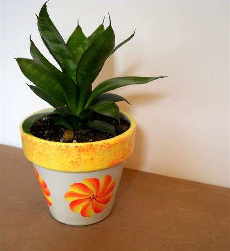 Potted Plant Free Stock Photo Public Domain Pictures