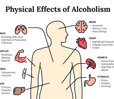Effects Of Alcohol What Does Alcohol Do To Your Body Infographics By