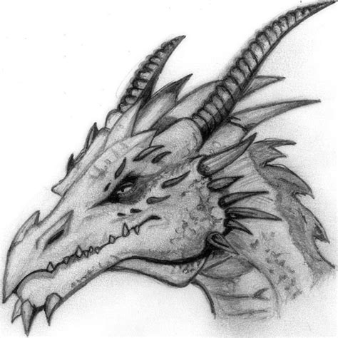 Pencil drawing of a huge dragon. How To Draw a Dragon Head Step By Step For Beginners New ...