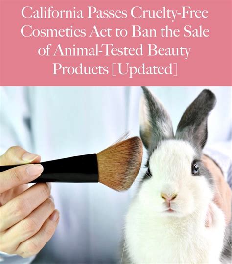 California Banning Sale Of Animal Tested Beauty Products Via Allure