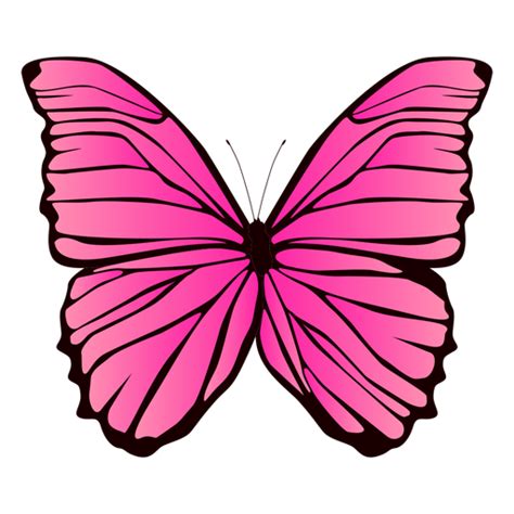 Pink butterfly design - Transparent PNG & SVG vector file png image