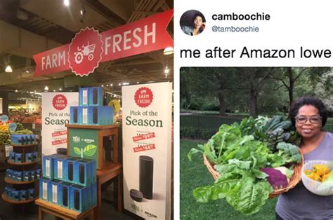 Millions spent on lobbying politicians. Amazon Officially Owns Whole Foods Now, And Naturally ...