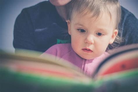 Baby Purple Shirt Reading Book Kid Child Boy Reading Book