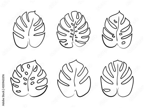 Fototapeta Monstera Leaves Are Drawn With A Single Line Modern One