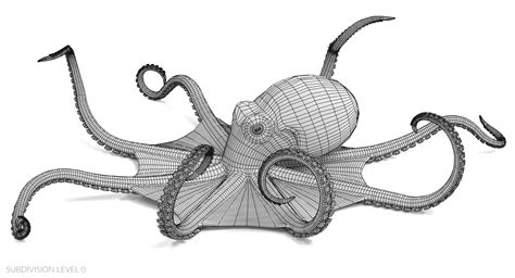 Giant Pacific Octopus 3d Model Turbosquid 1362451
