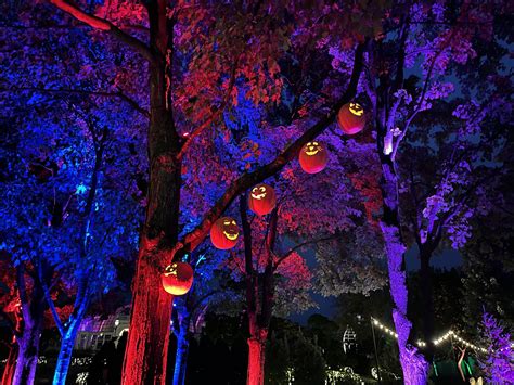 Pumpkins Aglow celebrates 3rd year, featuring innovative attractions