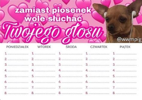 Zofia klepacka (33 l.) to bardzo utalentowana windsurferka. Pin by ¿Swistak¿ on plany lekcji | Plany lekcji, Szkoła ...
