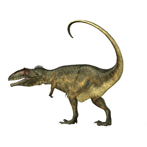 Giganotosaurus Was A Carnivorous Theropod Dinosaur That Lived In