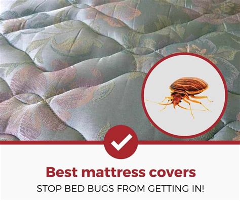 If you already have bed bugs, the best solution is to utilize a bed bug mattress cover. Top 5 Best Bed Bug Mattress Covers (**2019 Edition ...