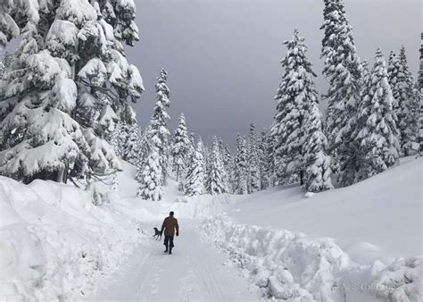 Lake tahoe communities incorporate the diverse and magnificent beauty of tahoe's natural allure, warmth and charm with special events that sparkle and add flavor to every individual taste. Things to Do in Lake Tahoe in Winter Besides Skiing and ...