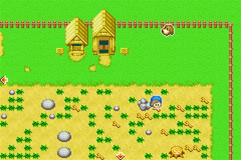 Harvest Moon Friends Of Mineral Town Screenshots Gamefabrique