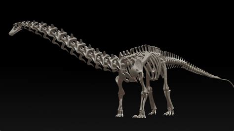 Maybe you would like to learn more about one of these? 3D diplodocus skeleton - TurboSquid 1228784