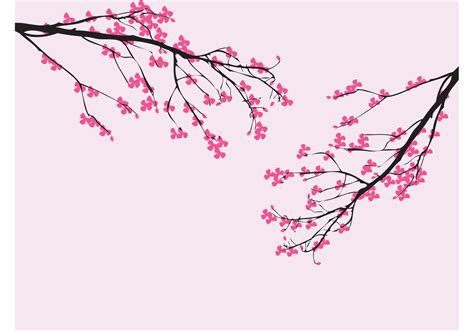 Vector Cherry Blossom Download Free Vector Art Stock Graphics And Images