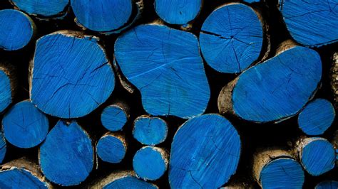 Wallpaper Water Reflection Wood Branch Blue Texture Circle