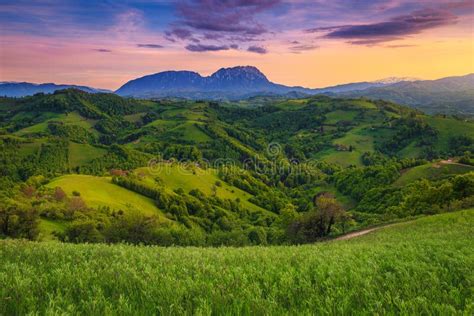 Summer Sunset Landscape With Green Fields And Forests Holbav Romania