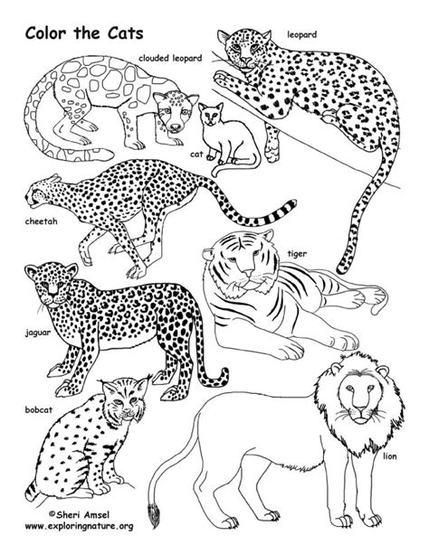 More than 100 cat coloring pages. Cat Family Coloring Page