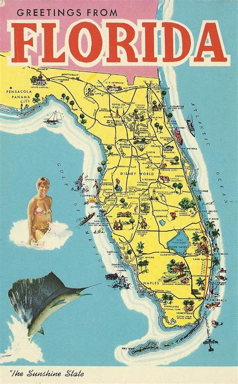Vintage Travel Postcards Florida