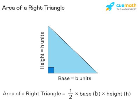 Triangle Abc Is A Right Triangle