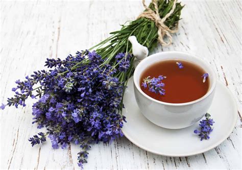 We offer quality at the best price and in a sustainable way. Lavender Tea Benefits that Give Your Health a Lift - Tea ...