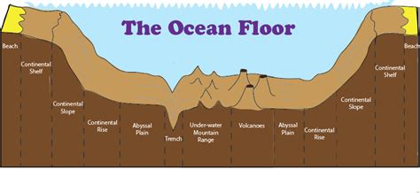 Exploring The Ocean Floor Worksheet Answers Floor Roma