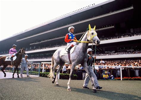 The website collected by this website comes from the. 日本ダービー 2019【名馬列伝】元年の奇跡。 | 競馬予想 ...