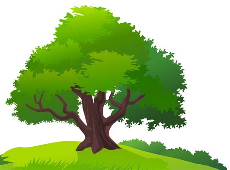 Tree Clipart Png Transparent Tree Clipart Png Images Pluspng