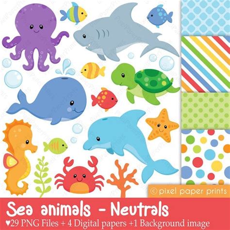 Baby Sea Animals Clip Art