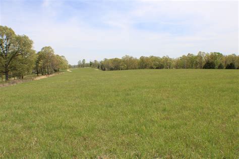 Great Farm Land For Sale Timberland For Sale United Country Real Estate