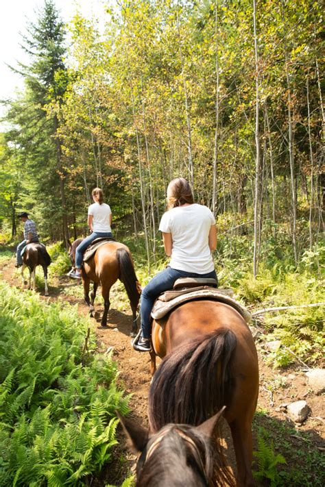 Adirondacks Equestrian Trails Archives Darley Newman