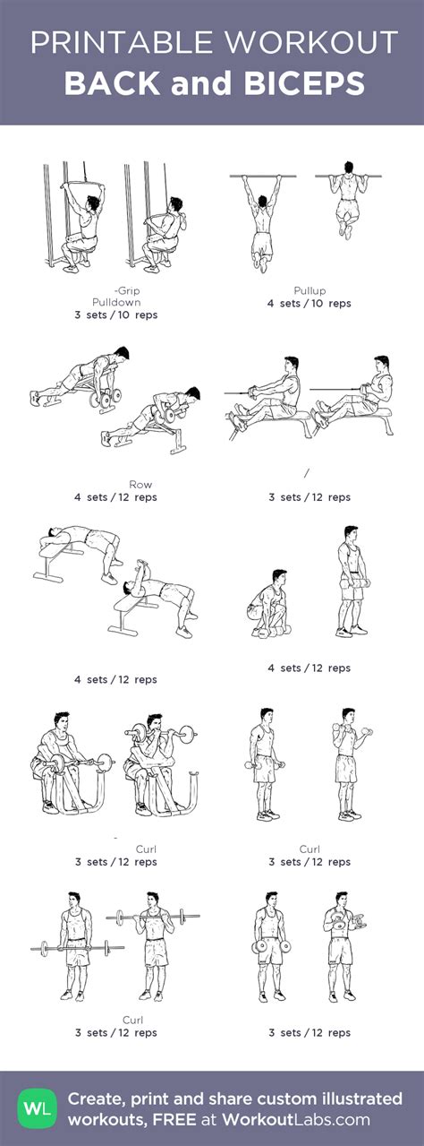 Back And Biceps Printable Workouts Back And Biceps Back And Bicep