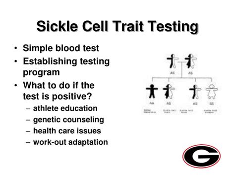 Ppt Sickle Cell Trait Powerpoint Presentation Free Download Id536912
